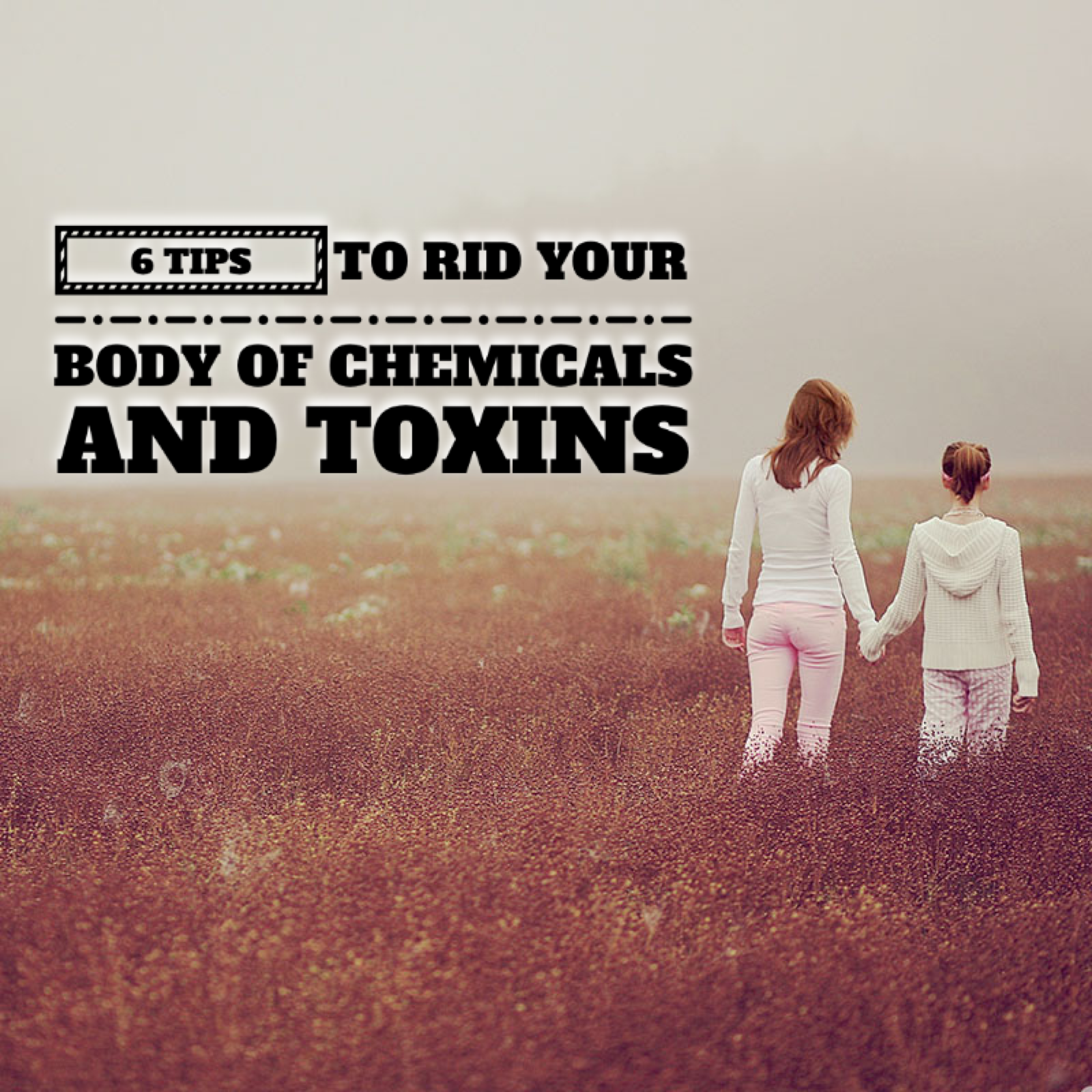 6 Tips to Rid Your Body of Chemicals and Toxins